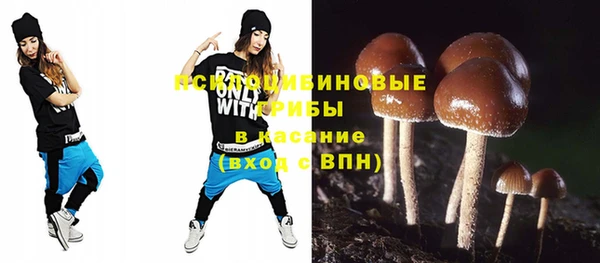 PSILOCYBIN Беломорск