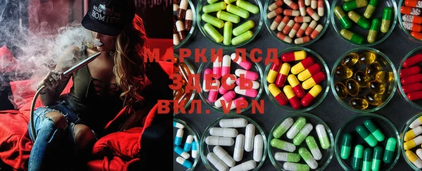 PSILOCYBIN Беломорск
