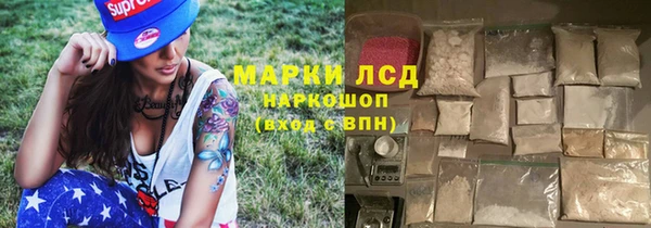 PSILOCYBIN Беломорск